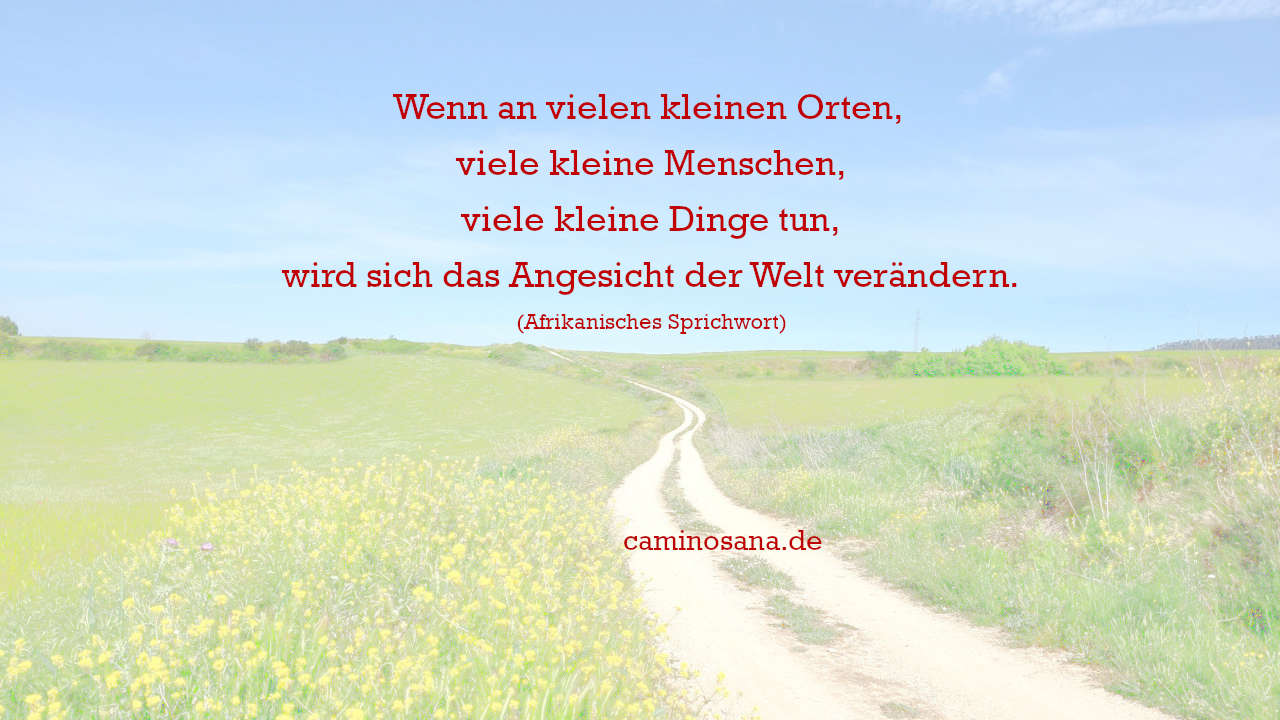 Wenn an vielen kleinen Orten, viele kleine Menschen, viele kleine Dinge tun, wird sich das Angesicht der Welt verändern. CaminoSana